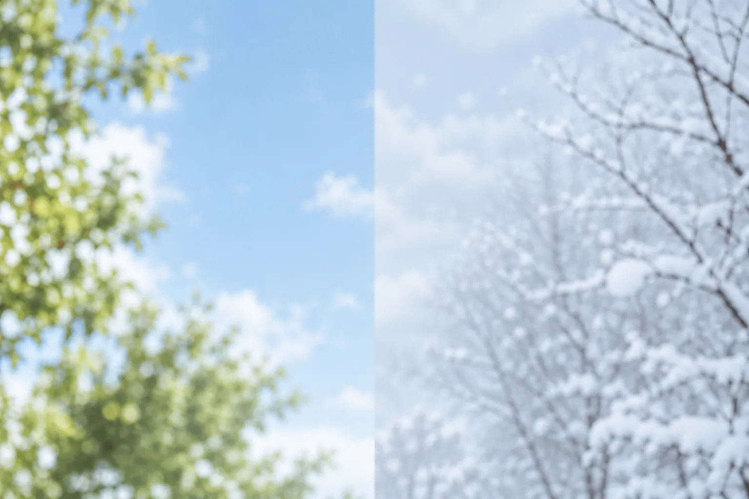 季節保湿の記事向け、左に夏の緑の木、右に雪の枝を全画面で並べた写真