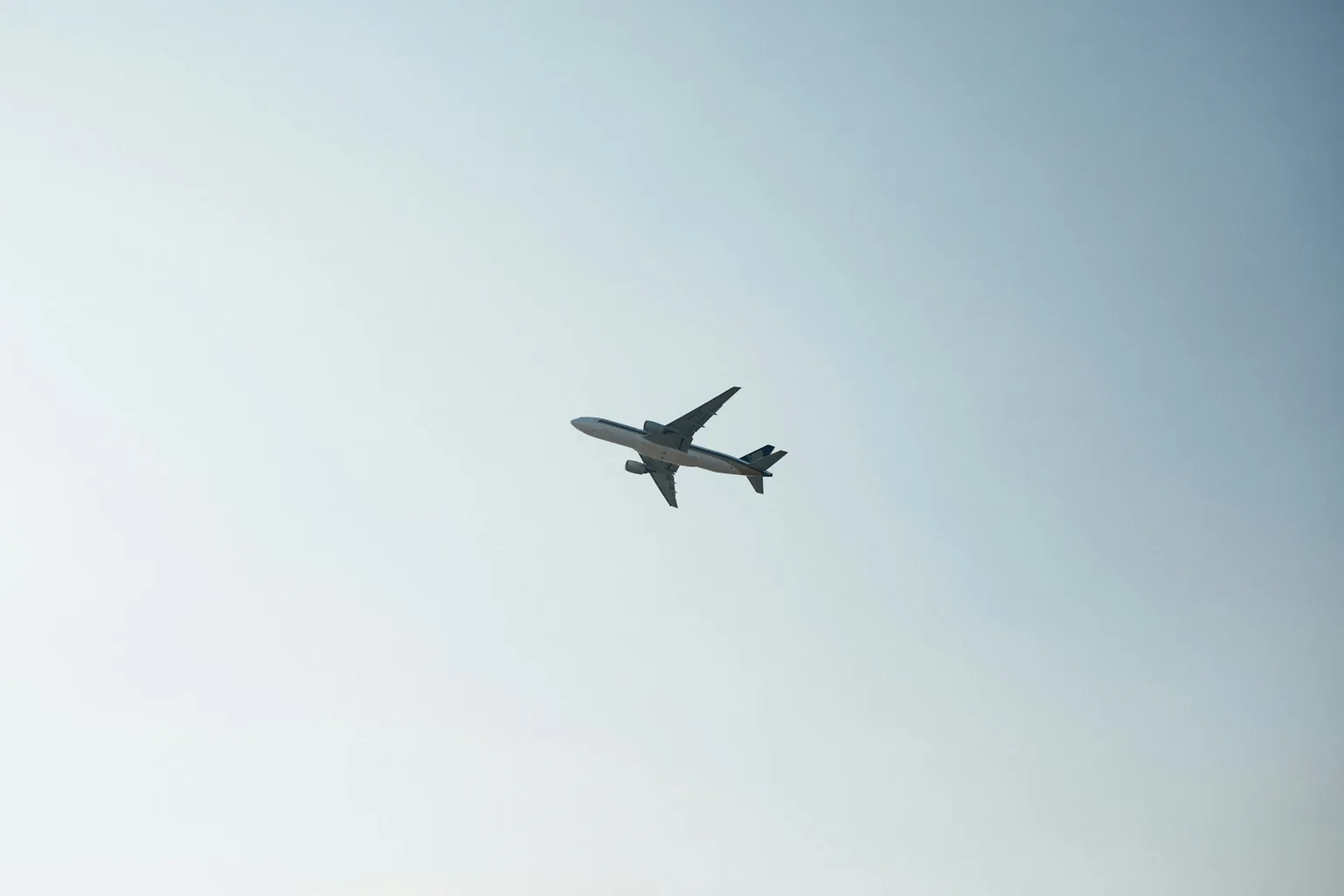 出張と旅行の持ち物を連想させる青空の飛行機を全画面で写した写真